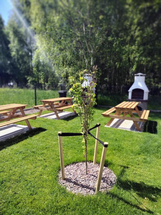 Apartament Zacisze Olo Niechorze Kültér fotó